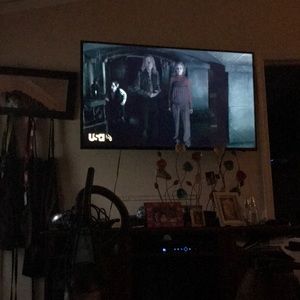 Meet your Posher, Bernard